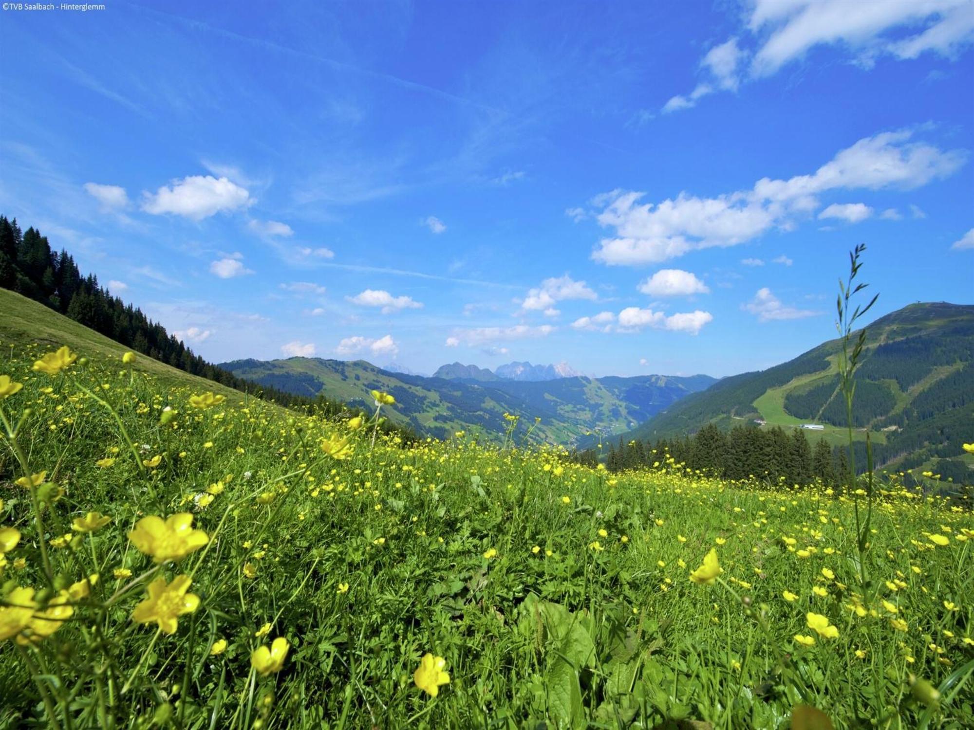 Apartment In Saalbach Hinterglemm Near Ski Area Екстер'єр фото